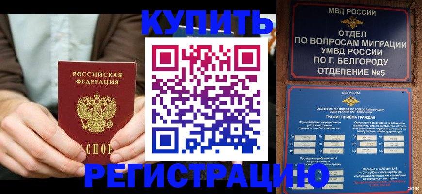 прописка 2025 в Белгороде